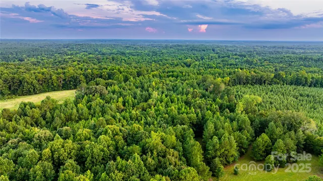 a view of a green field with lots of bushes