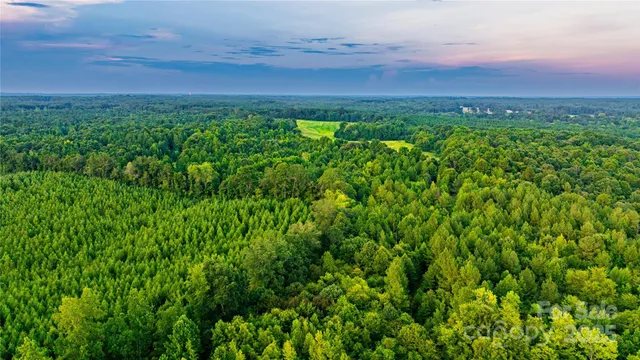 a view of a yard with an outdoor space