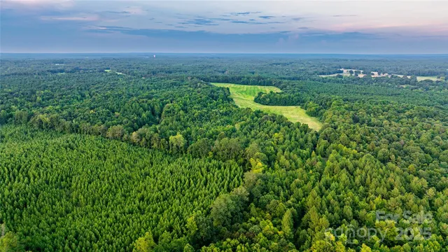 a view of a big yard with lots of green space
