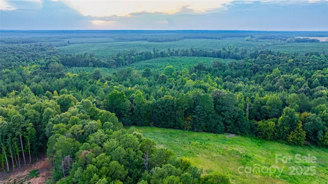 a view of a lush green outdoor space