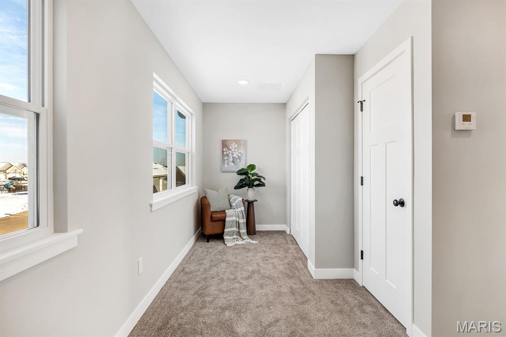 6 Tether Court Hamel, IL 62046 - Photo 25 of 44