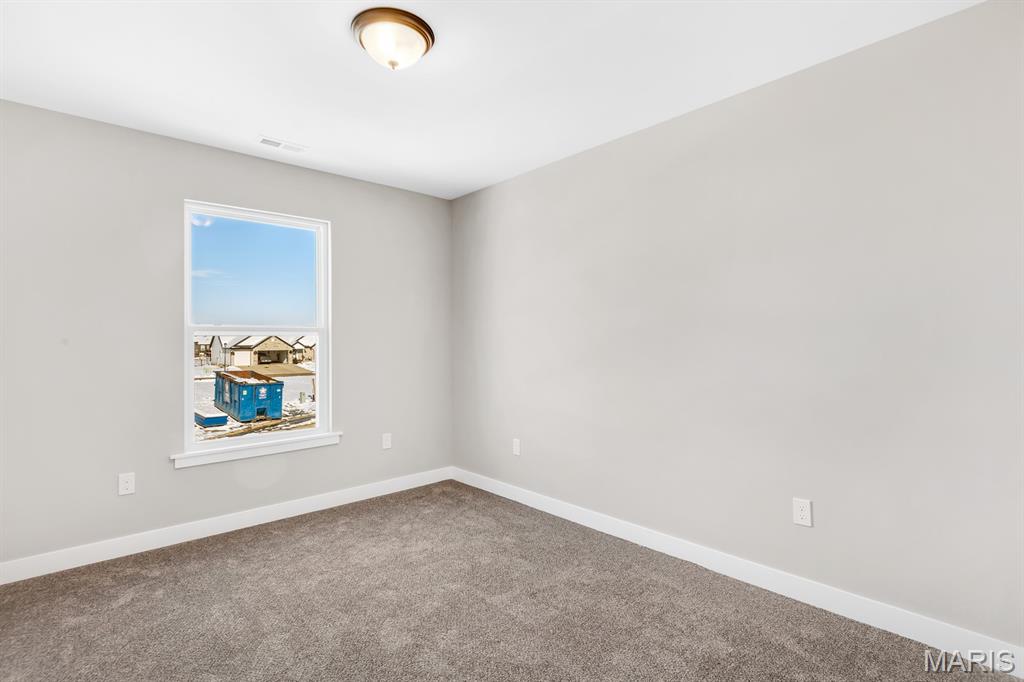 6 Tether Court Hamel, IL 62046 - Photo 31 of 44