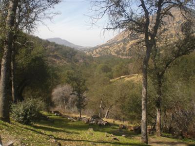 35285 Hopewell Road Squaw Valley, CA 93675 - Photo 16 of 19 Gallery Image 16