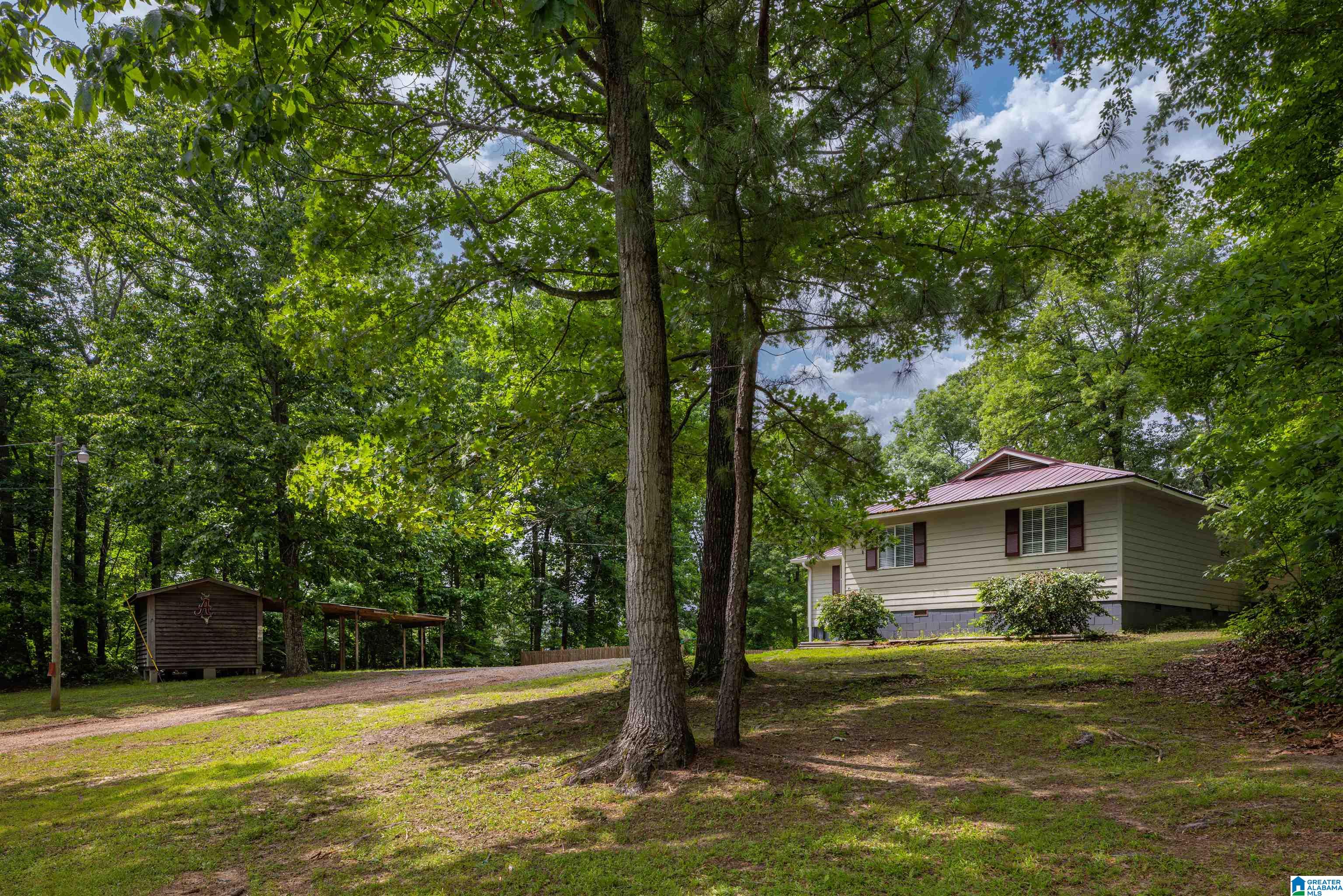 2851 Wilson Chapel Road Altoona, AL 35952 - Photo 5 of 37 Gallery Image 5