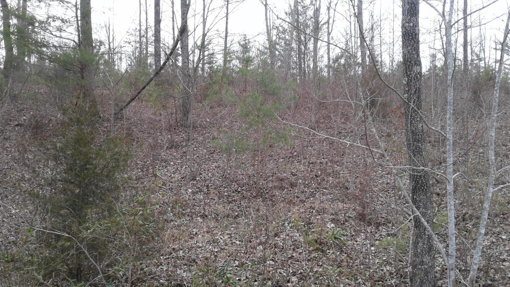 9 Keno Road Burnside, KY 42519 - Photo 1 of 2 lot 9 keno v