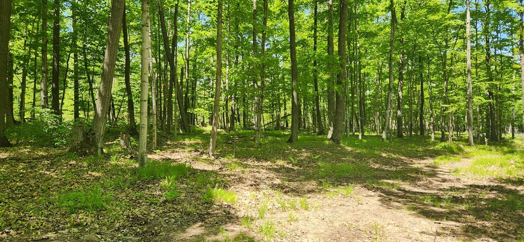 8113 Deer Ridge Baileys Harbor, WI 54202 - Photo 9 of 15