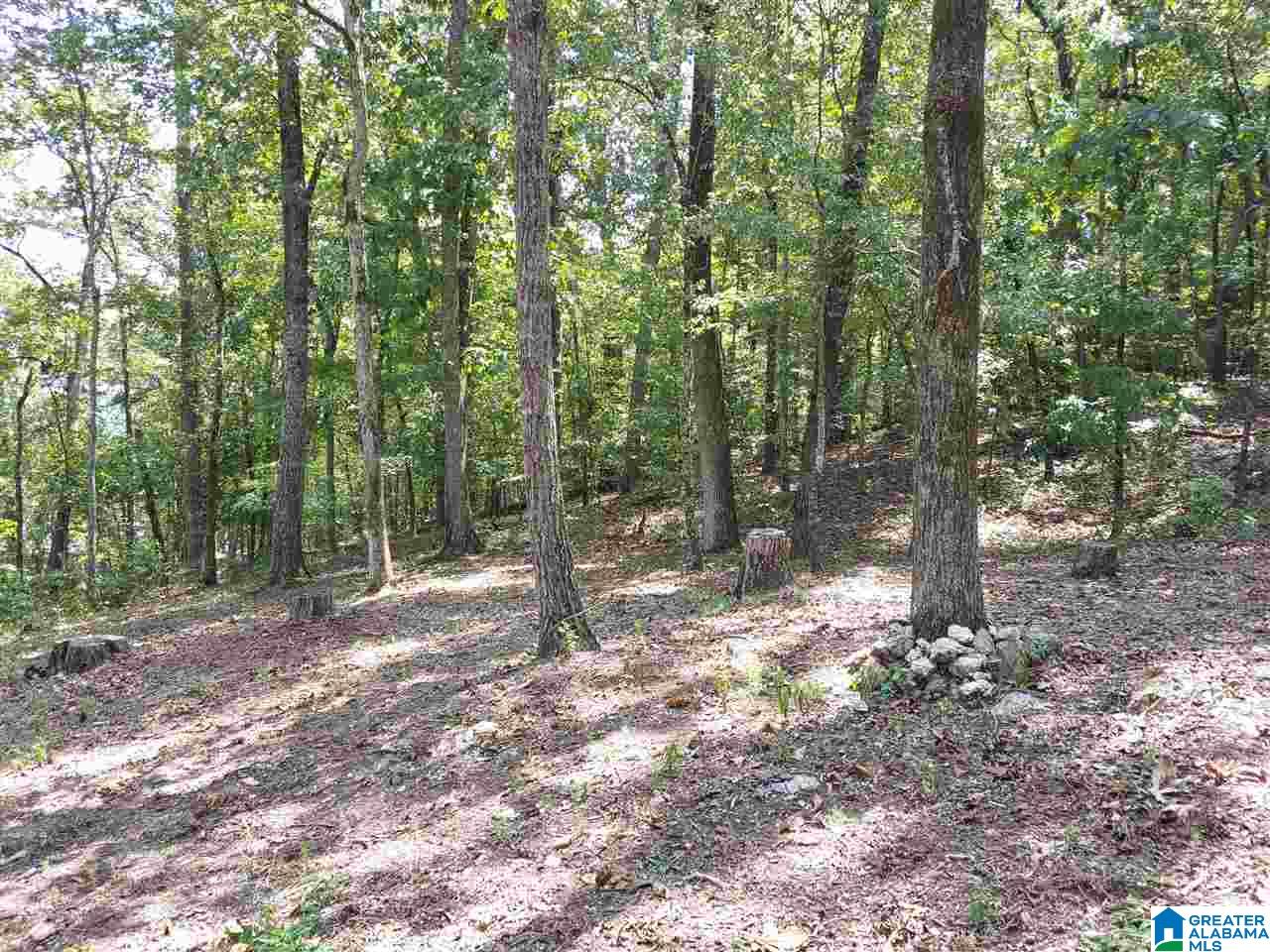 405 Cherokee Road, Unit 6 Cropwell, AL 35054 - Photo 17 of 20