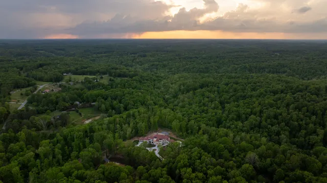 a view of a city with lush green forest