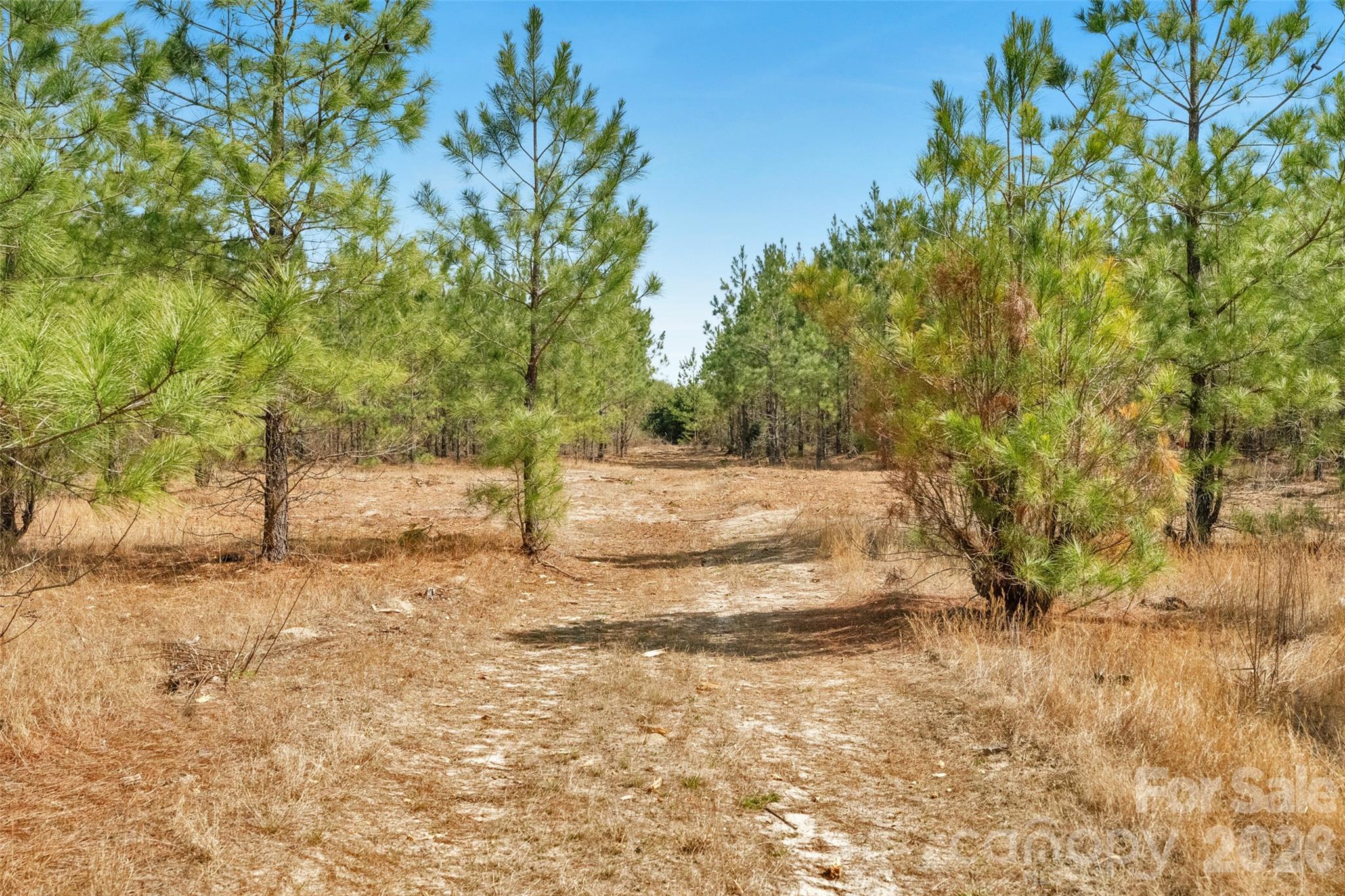 931 Charlie Johnson Road, Unit 2 Kershaw, SC 29067 - Photo 28 of 35