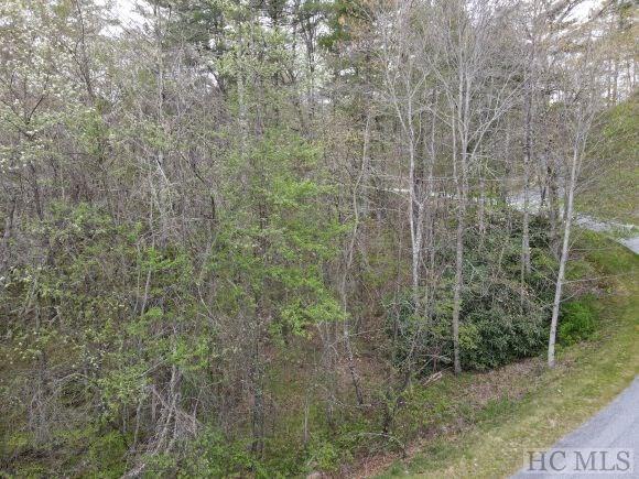 Tr C Trillium Ridge Road Cashiers, NC 28717 - Photo 8 of 16 Gallery Image 8