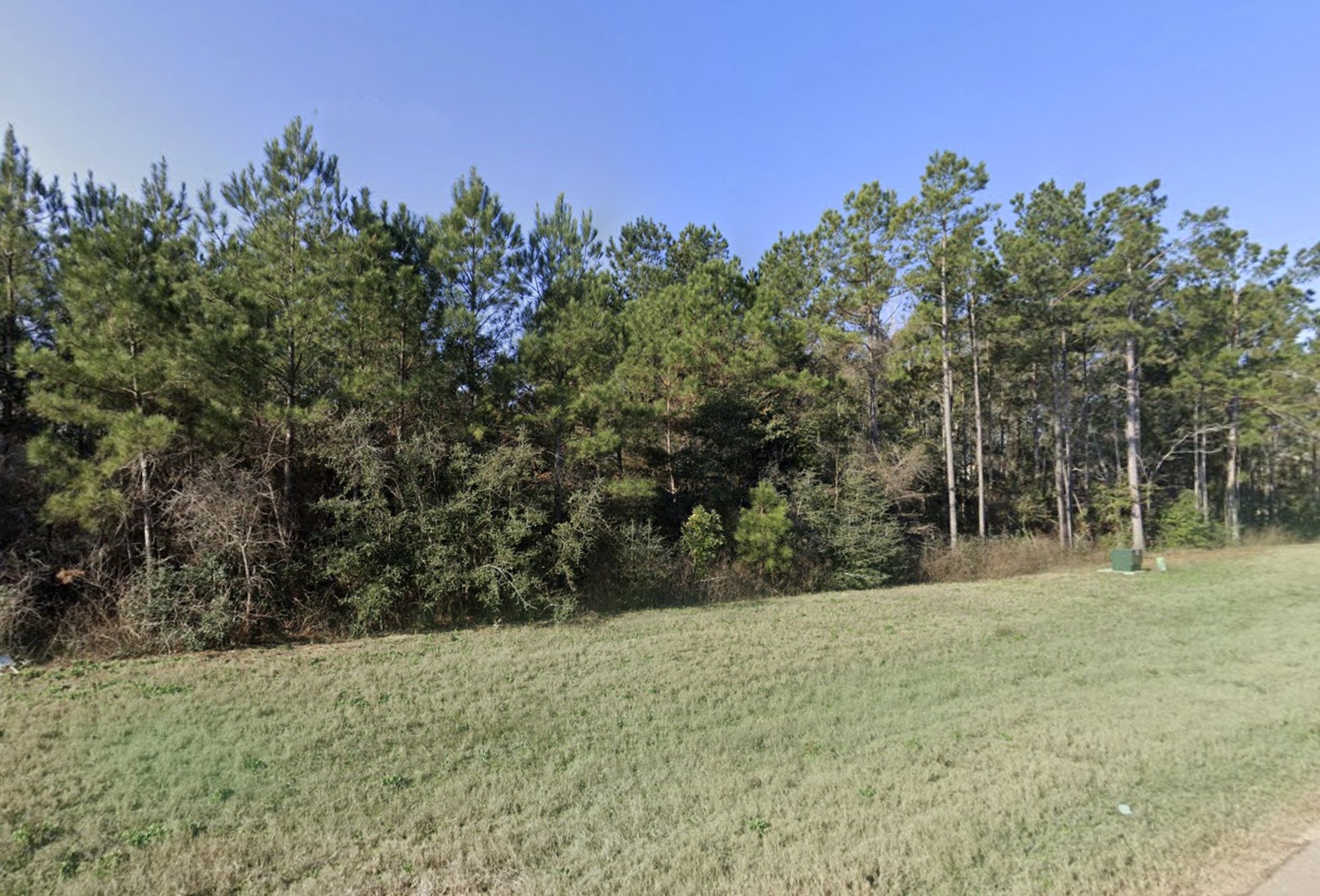 11694 Grand N Road Willis, TX 77378 - Photo 5 of 19