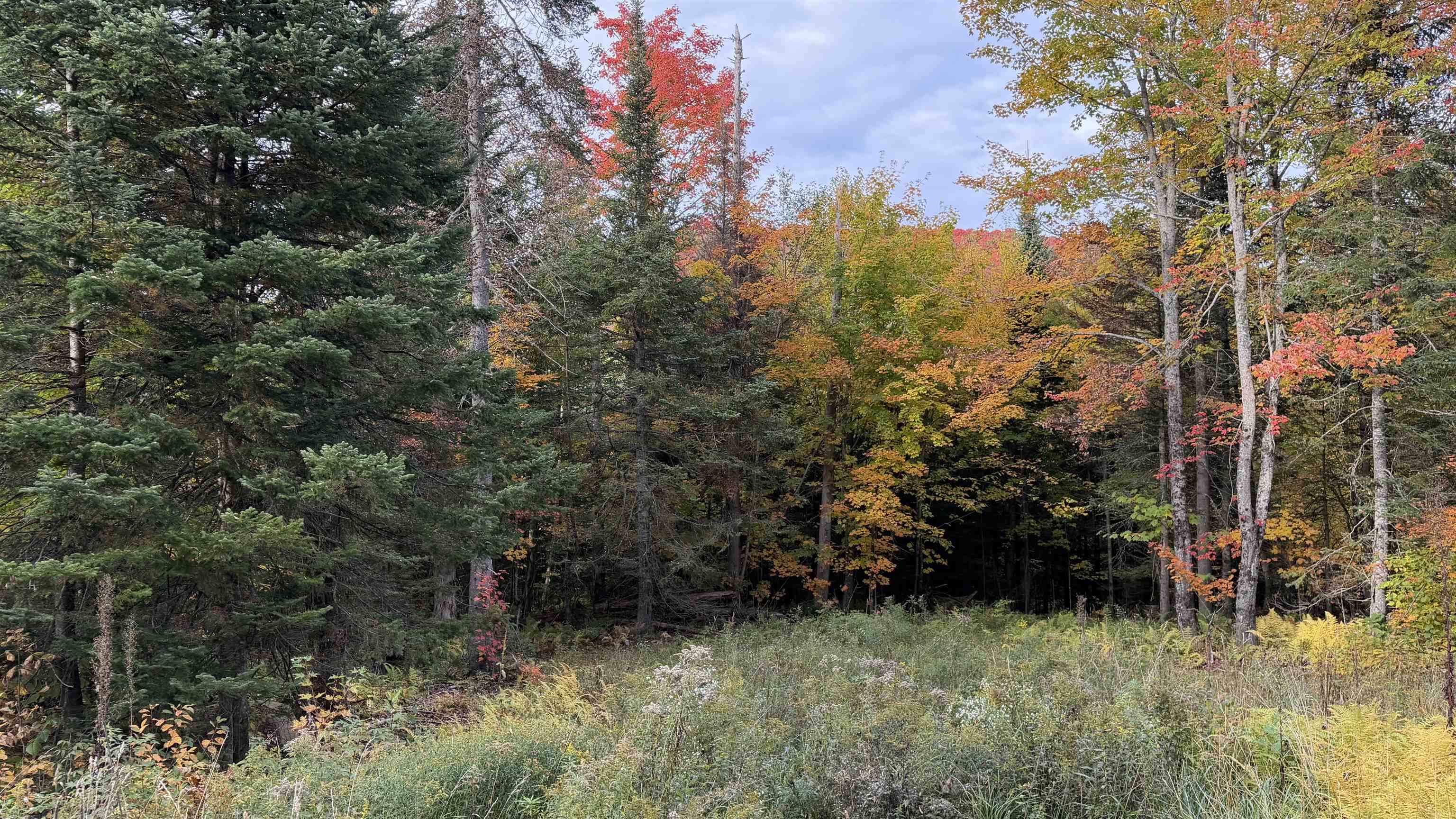 0 Shadow Lake Road Glover, VT 05839 - Photo 5 of 59 Gallery Image 5