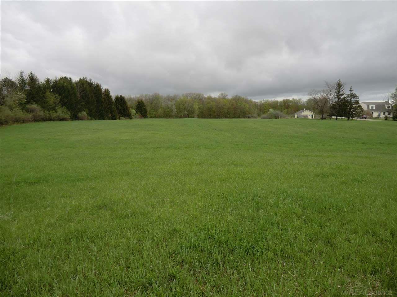 0 McIntyre Road North Street, MI 48049 - Photo 2 of 3