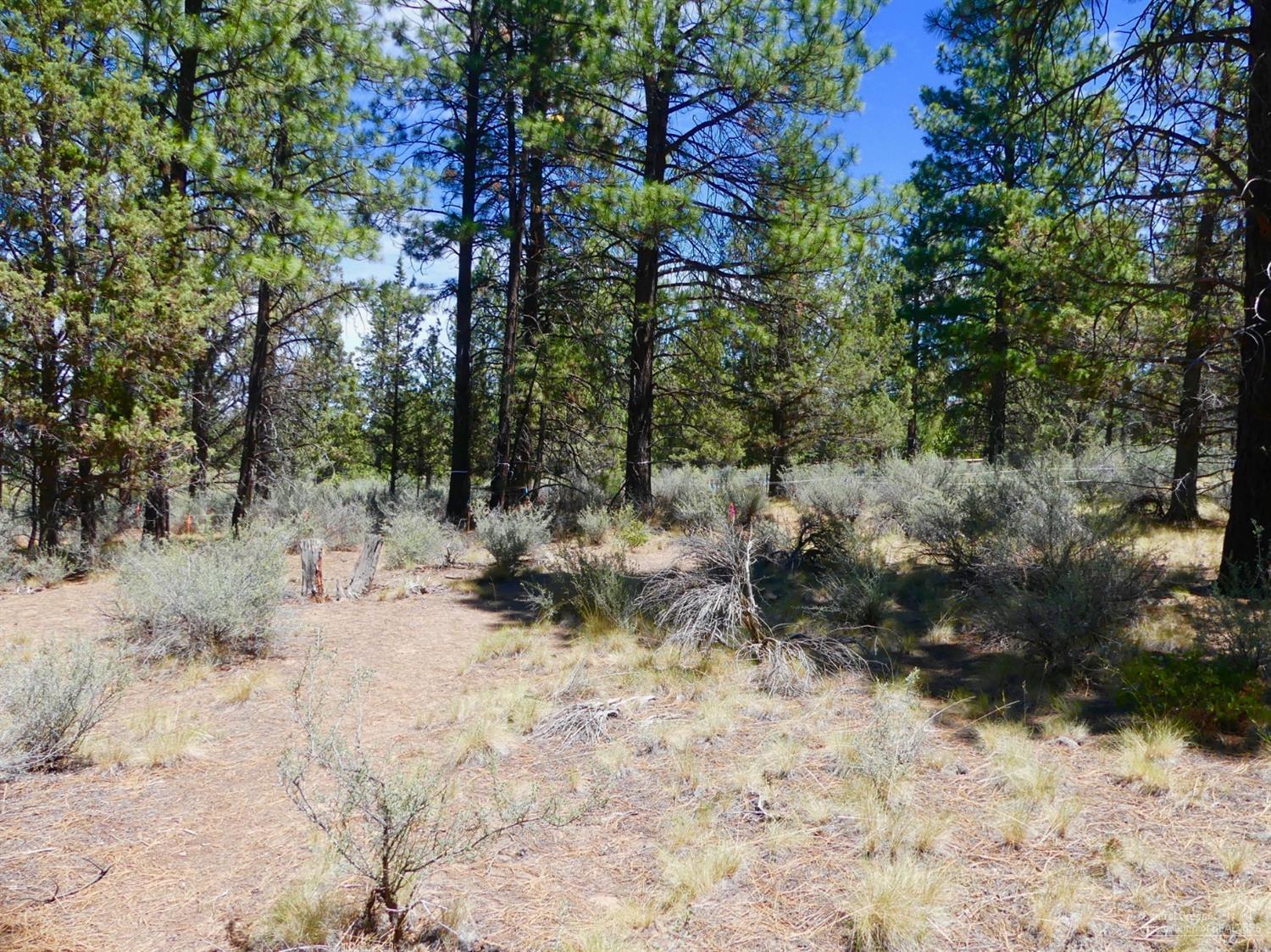 61470 Meeks Trail Bend, OR 97702 - Photo 3 of 20 Gallery Image 3