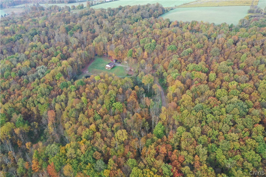4543 Potter Road McGraw, NY 13101 - Photo 39 of 45