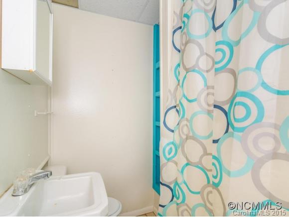 295 Luther Road Candler, NC 28715 - Photo 20 of 23 Gallery Image 20