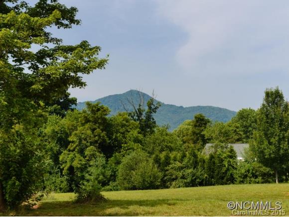 295 Luther Road Candler, NC 28715 - Photo 5 of 23 Gallery Image 5