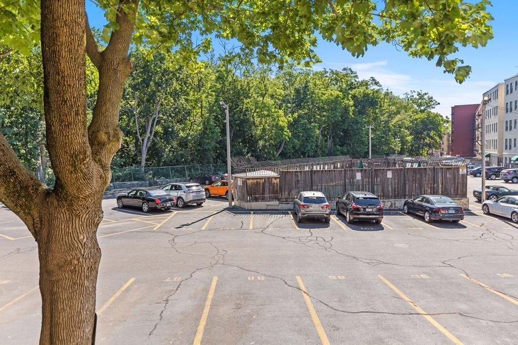 88 Gordon Street, Unit 204 Boston, MA 02135 - Photo 11 of 12 a view of a patio with table and chairs with a large tree