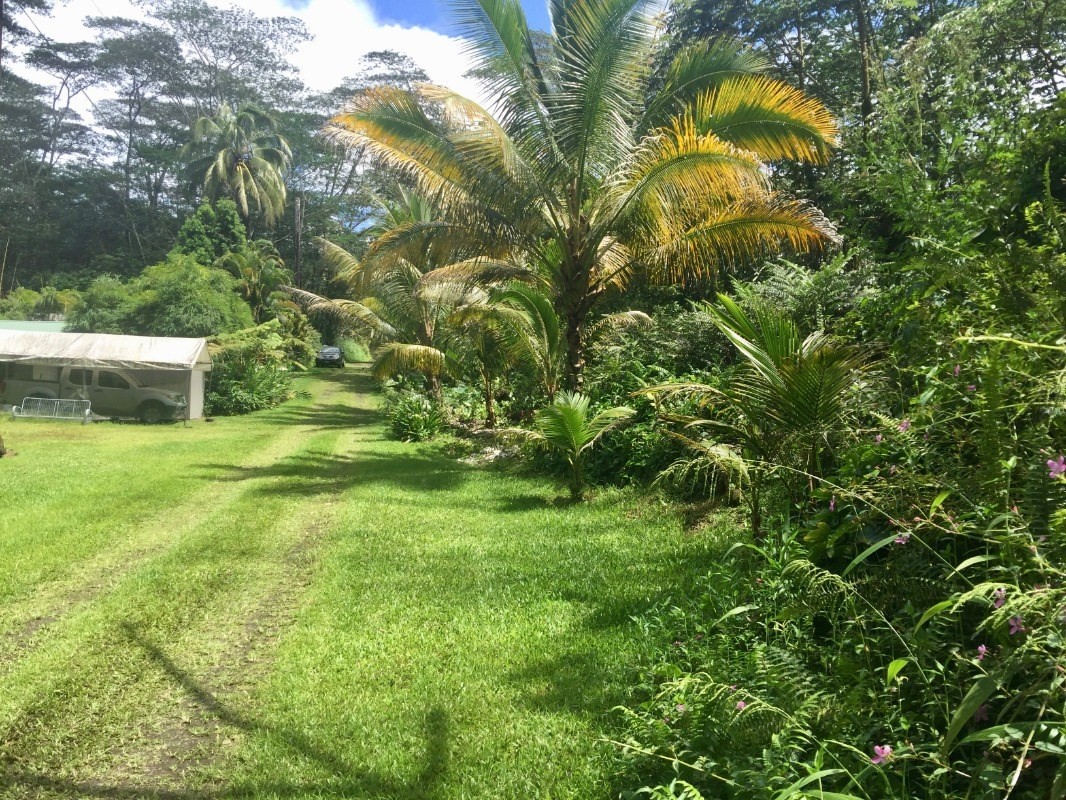 505 Ginger Road Pahoa, HI 96778 - Photo 6 of 6 Gallery Image 6