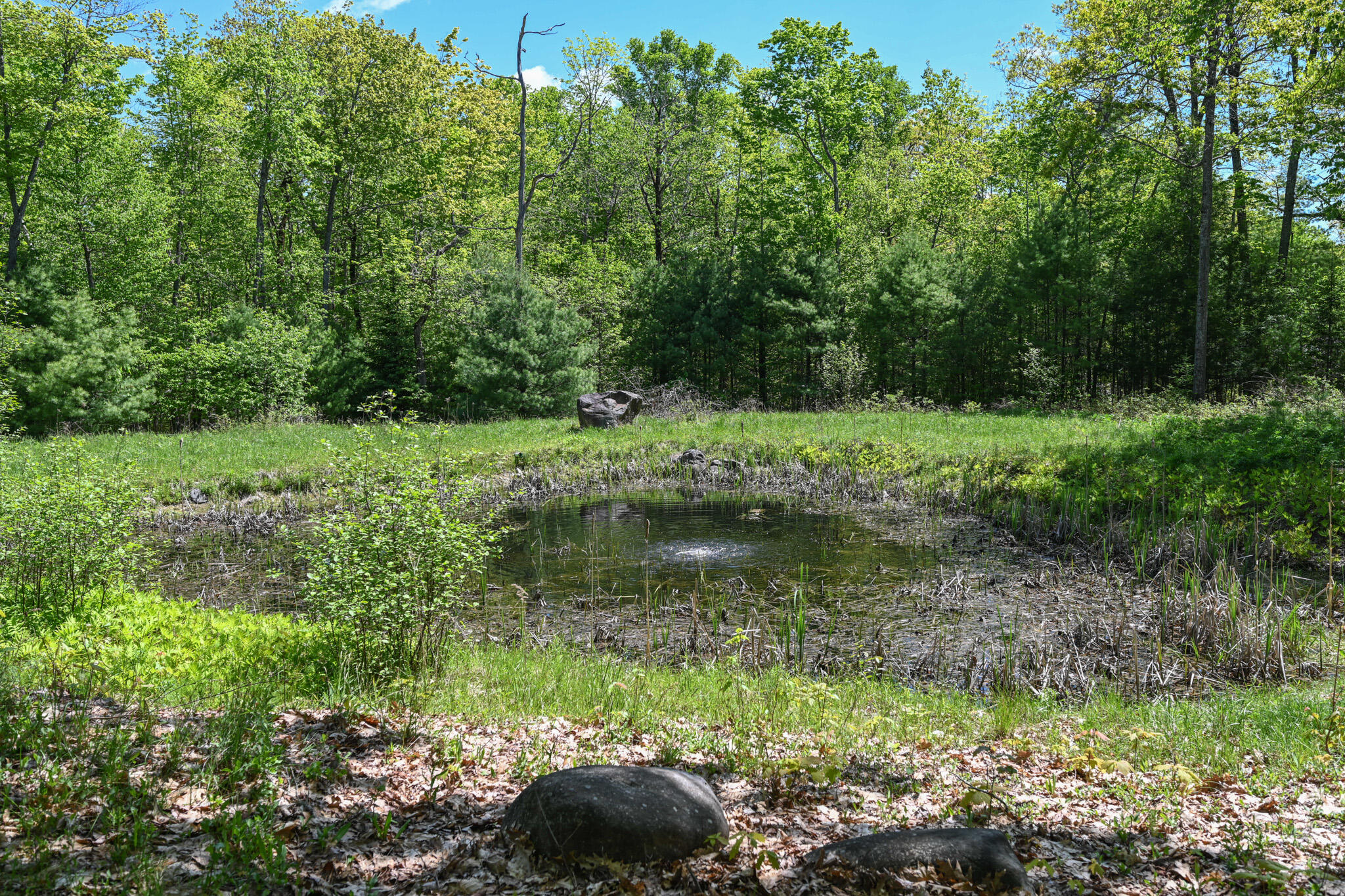 198 Chemo Pond Road Eddington, ME 04428 - Photo 36 of 39 Pond