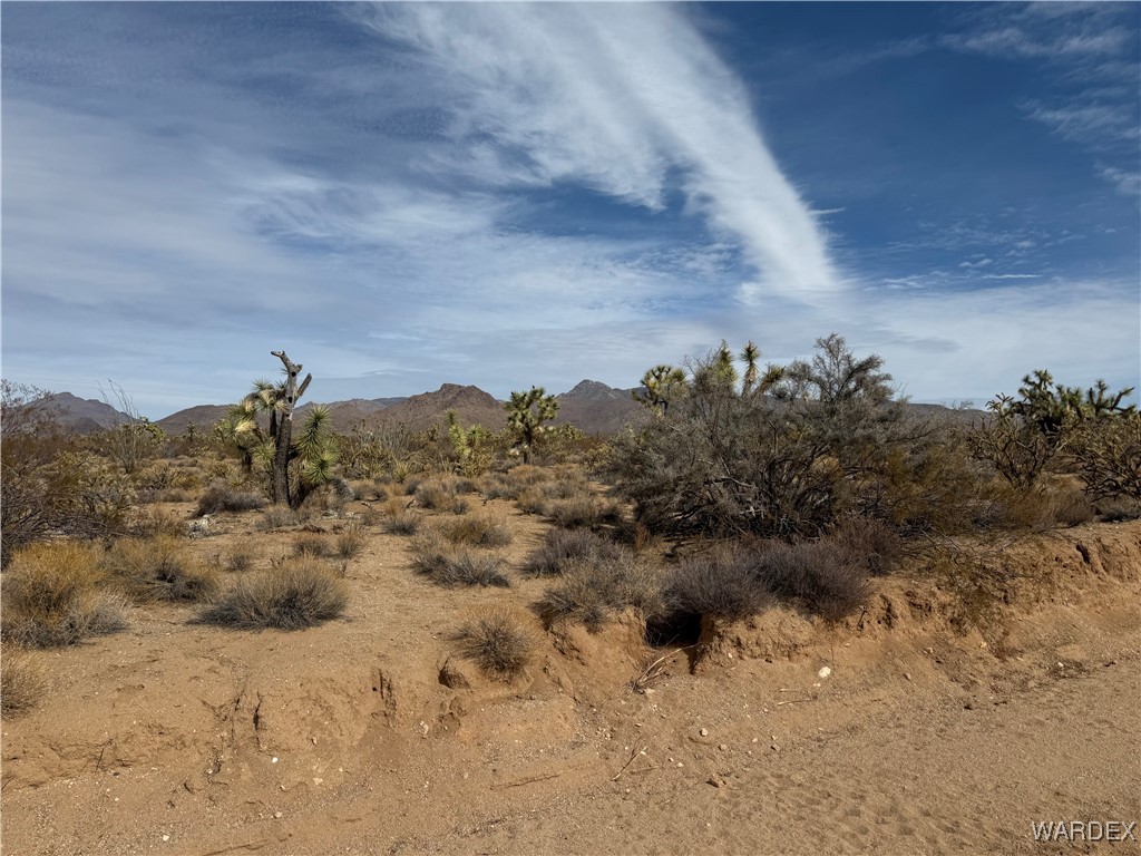 2559 Diamondback Yucca, AZ 86438 - Photo 1 of 18 Lot