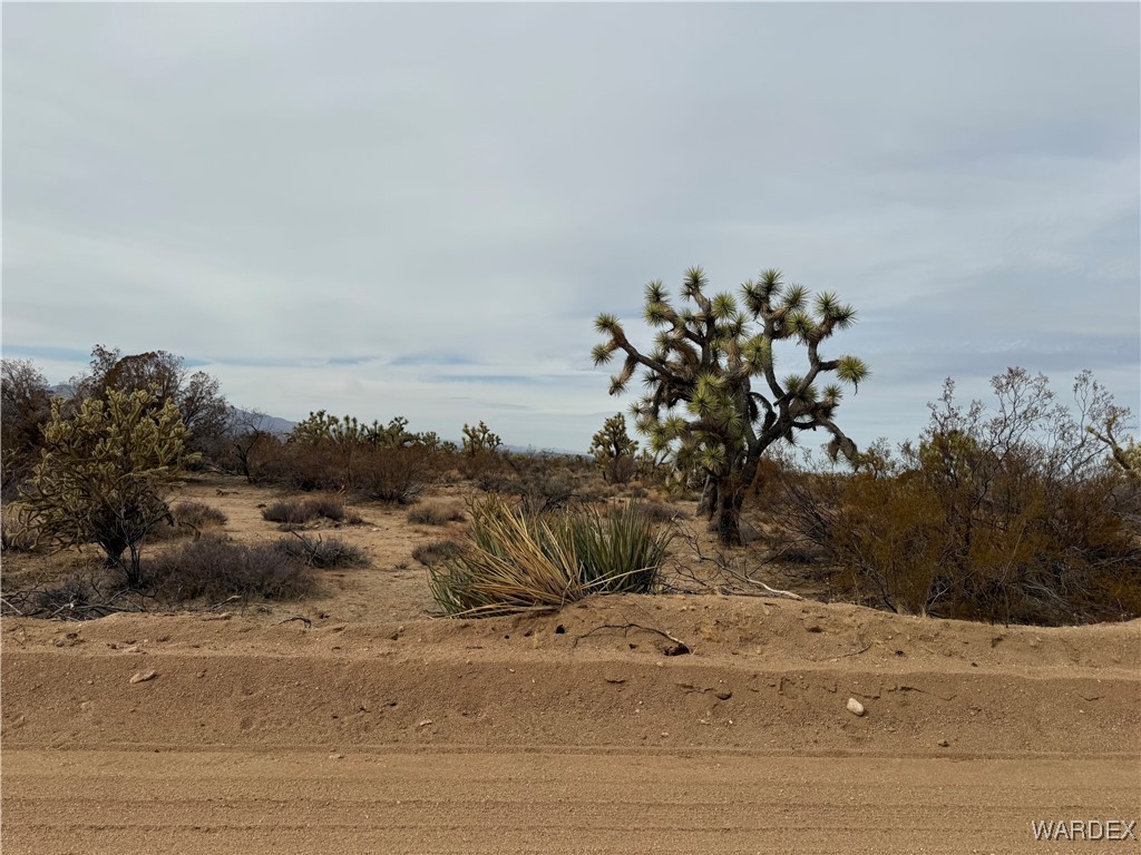 2559 Diamondback Yucca, AZ 86438 - Photo 11 of 18 Lot