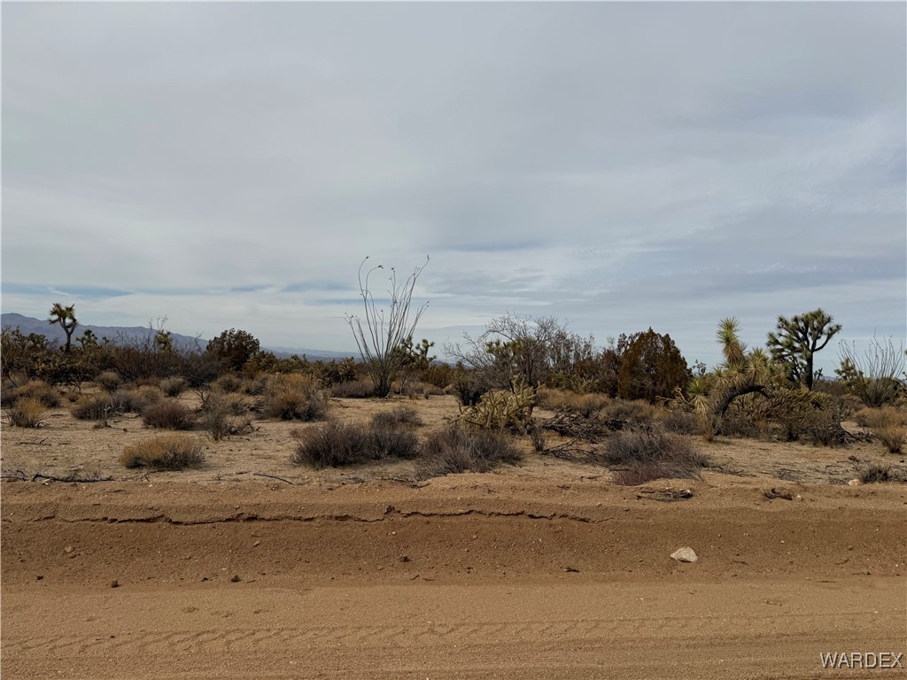 2559 Diamondback Yucca, AZ 86438 - Photo 12 of 18 Lot