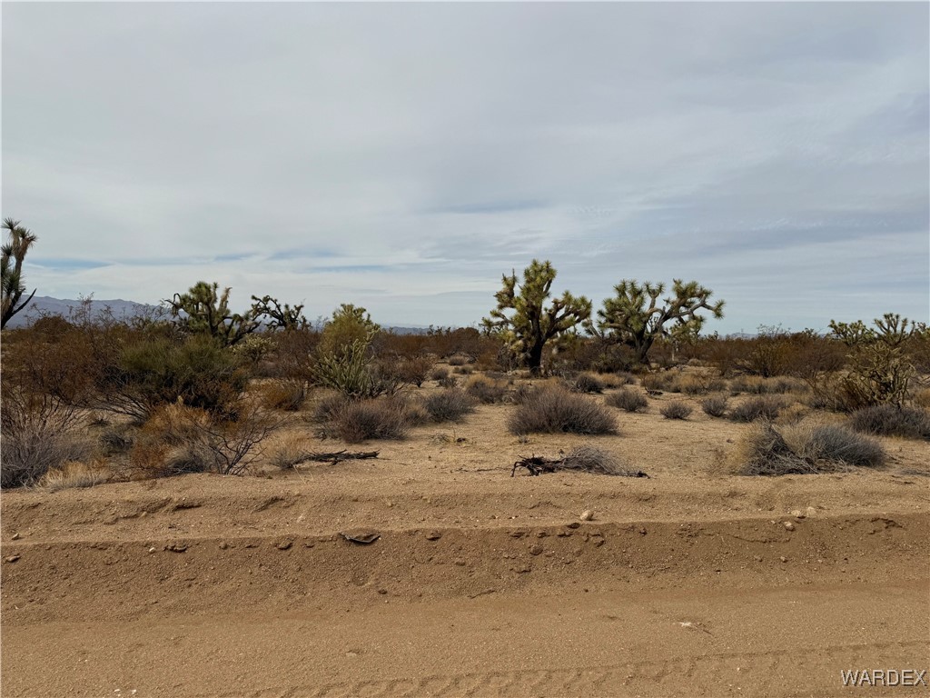2559 Diamondback Yucca, AZ 86438 - Photo 13 of 18 Lot