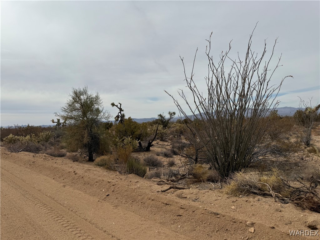 2559 Diamondback Yucca, AZ 86438 - Photo 14 of 18 Lot