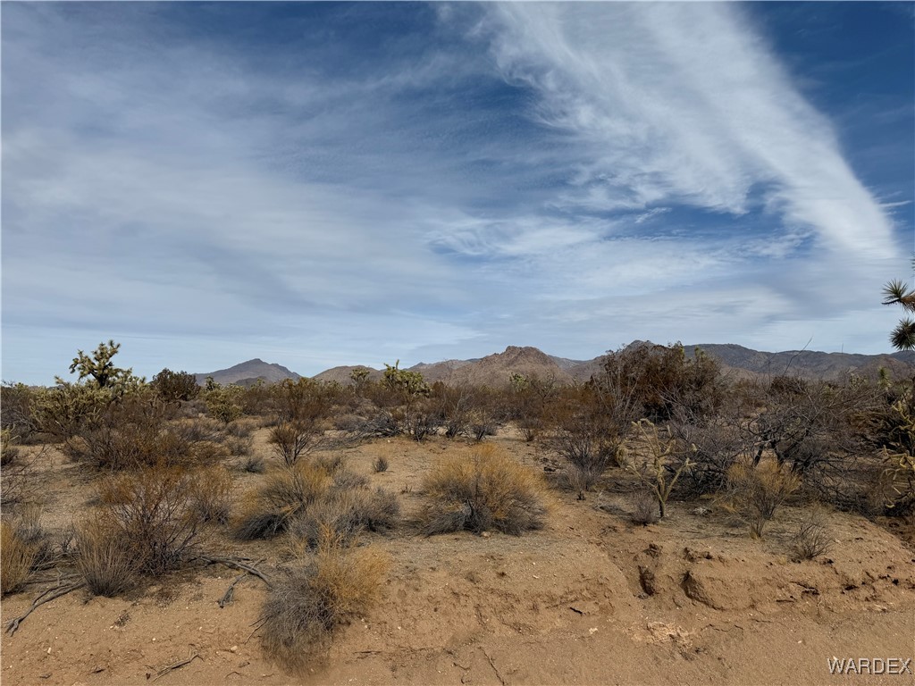 2559 Diamondback Yucca, AZ 86438 - Photo 3 of 18 Lot