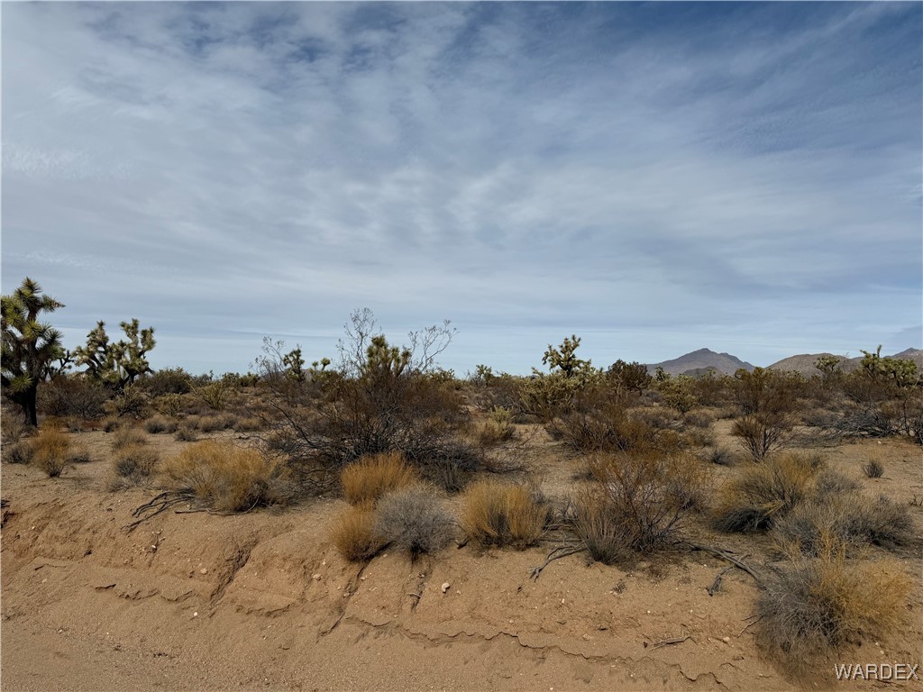 2559 Diamondback Yucca, AZ 86438 - Photo 4 of 18 Lot