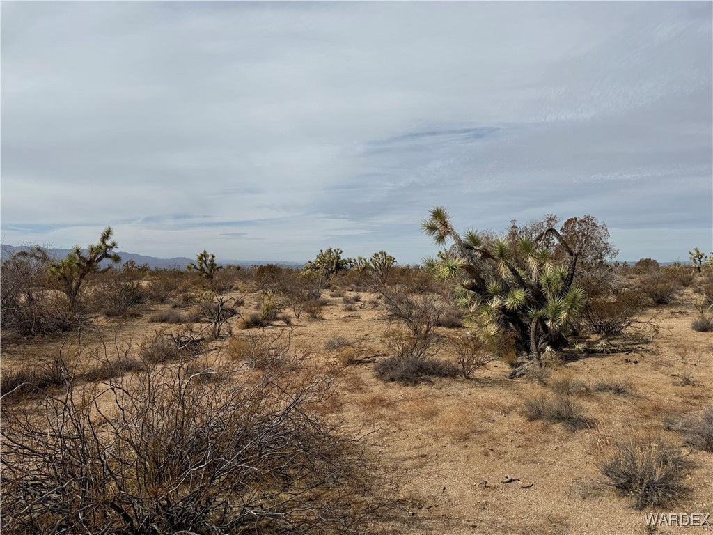 2559 Diamondback Yucca, AZ 86438 - Photo 6 of 18 Lot