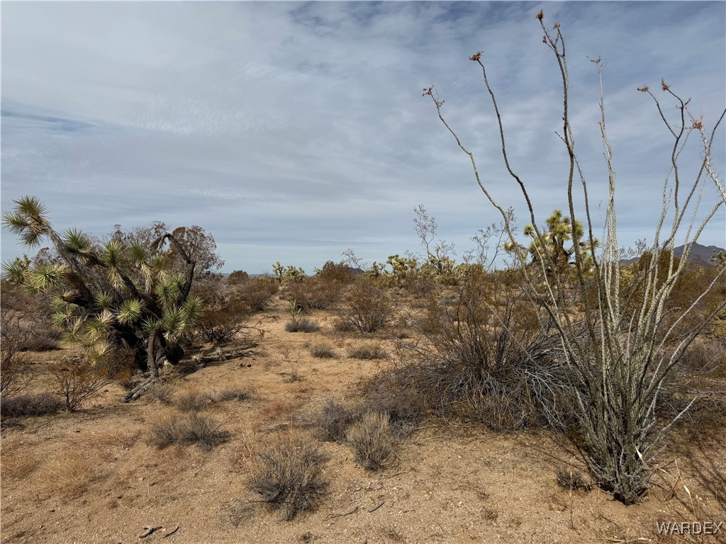 2559 Diamondback Yucca, AZ 86438 - Photo 7 of 18 Lot