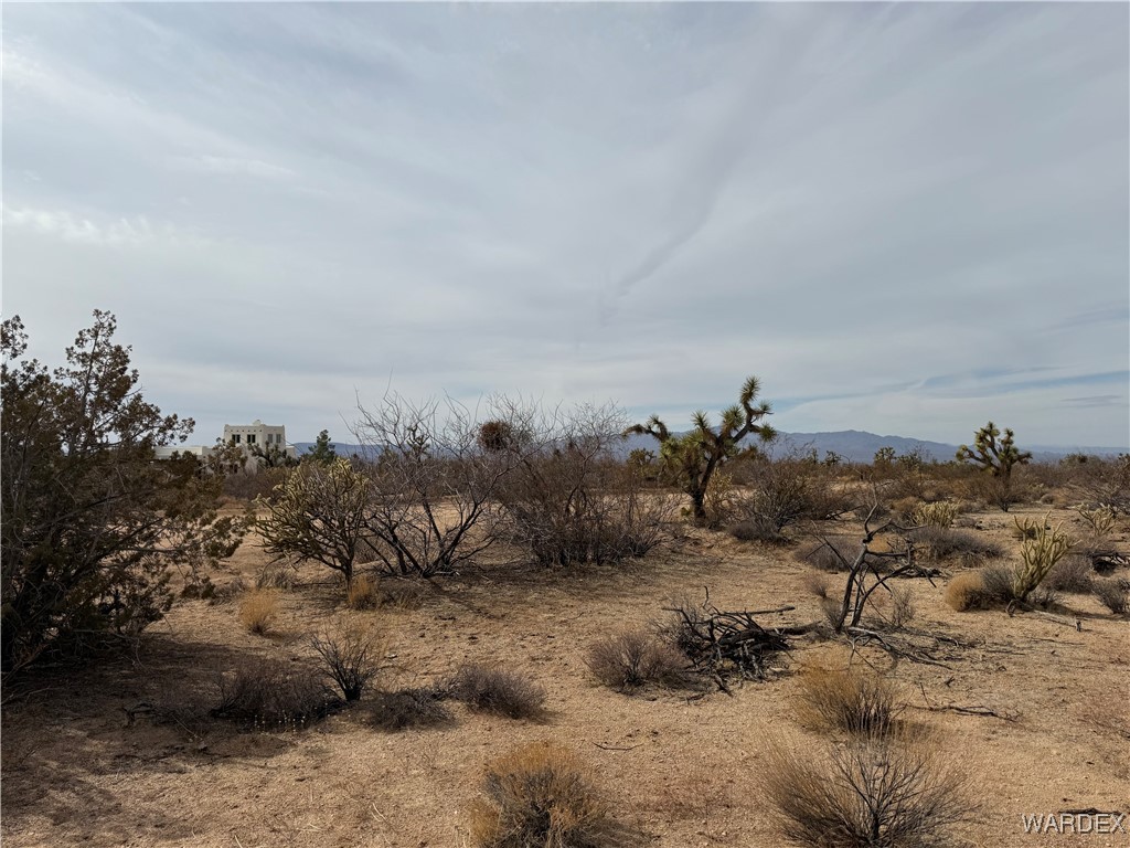2559 Diamondback Yucca, AZ 86438 - Photo 8 of 18 Lot