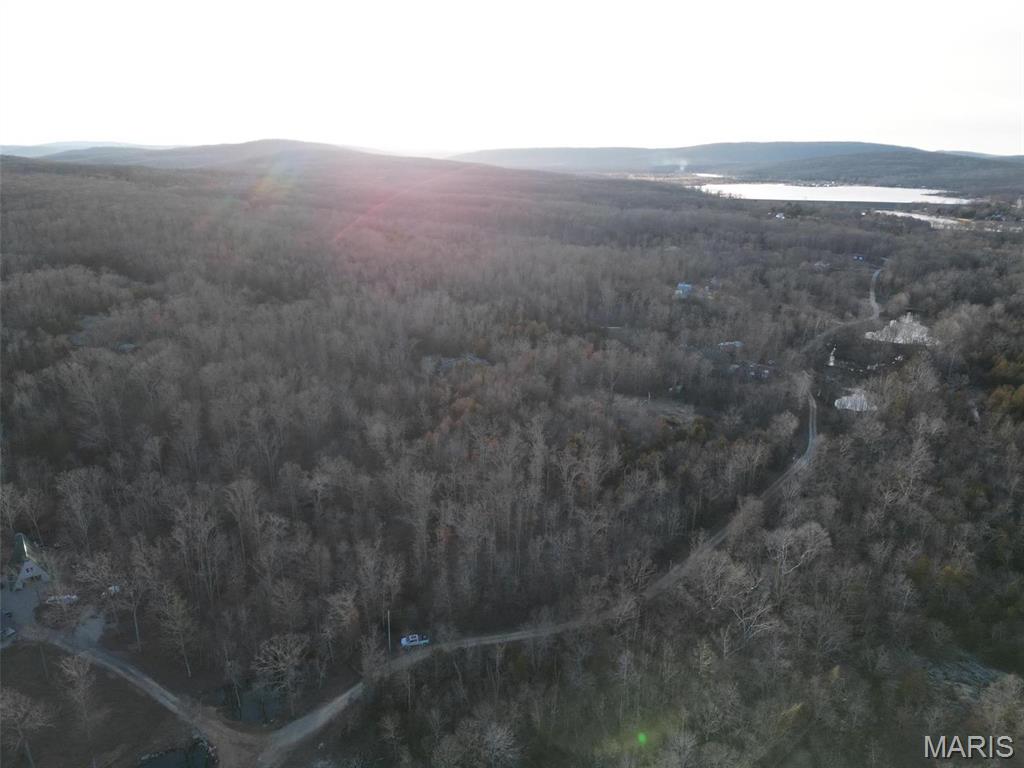 244 Shy Road Ironton, MO 63650 - Photo 3 of 11