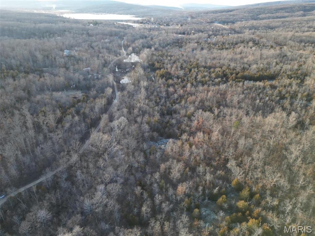 244 Shy Road Ironton, MO 63650 - Photo 4 of 11