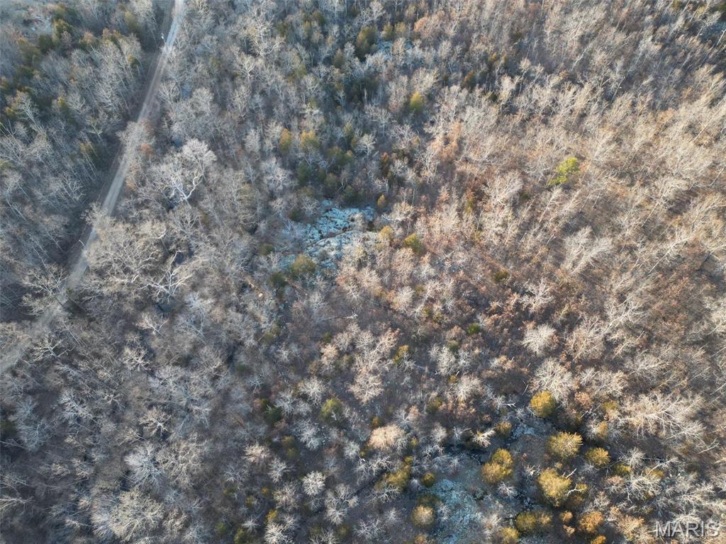 244 Shy Road Ironton, MO 63650 - Photo 5 of 11