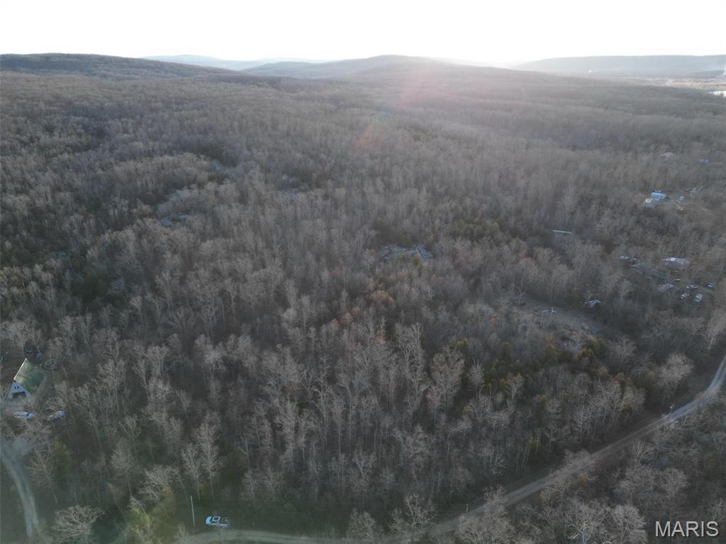 244 Shy Road Ironton, MO 63650 - Photo 6 of 11