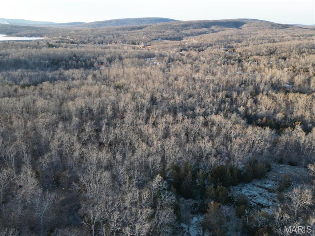 244 Shy Road Ironton, MO 63650 - Photo 8 of 11