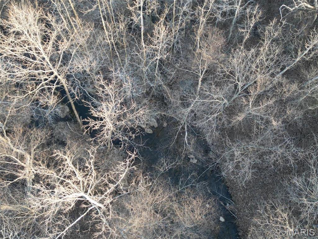 244 Shy Road Ironton, MO 63650 - Photo 10 of 11