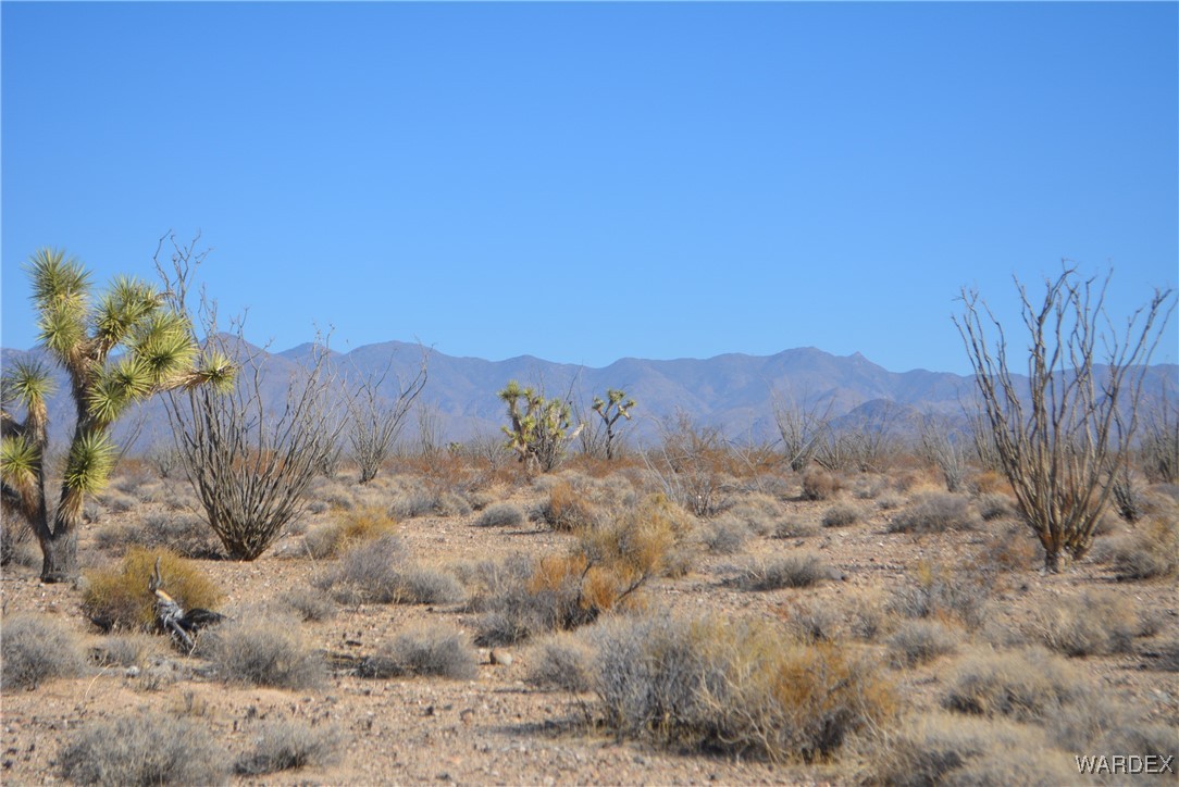 245-24-107 South Rainbow Road Yucca, AZ 86438 - Photo 11 of 91
