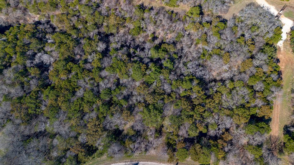 1324 Cobblestone Trail Whitney, TX 76692 - Photo 12 of 12 a view of a forest