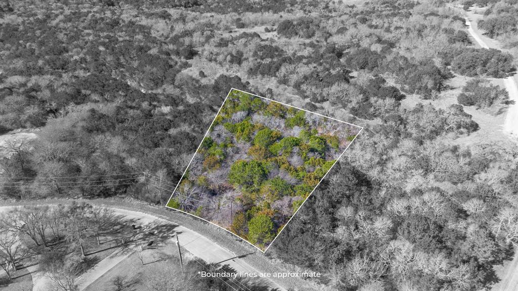 1324 Cobblestone Trail Whitney, TX 76692 - Photo 2 of 12 a plant with lots of trees