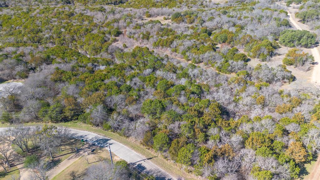 1324 Cobblestone Trail Whitney, TX 76692 - Photo 9 of 12 a view of a yard with a tree