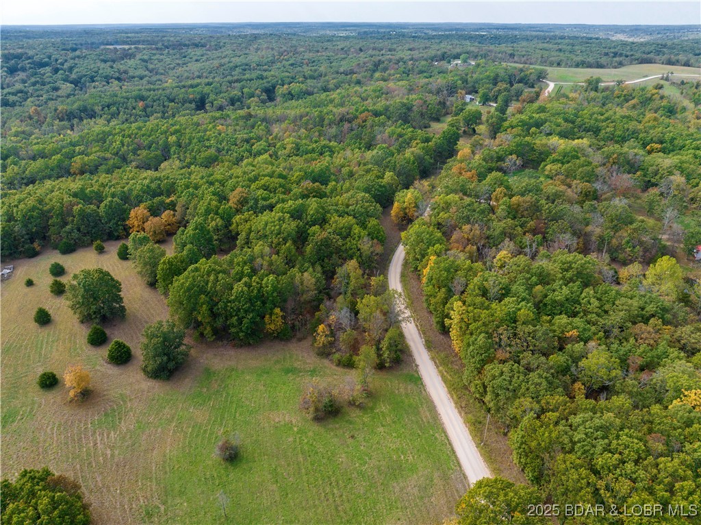 Coffey Hollow Road Macks Creek, MO 65786 - Photo 11 of 21