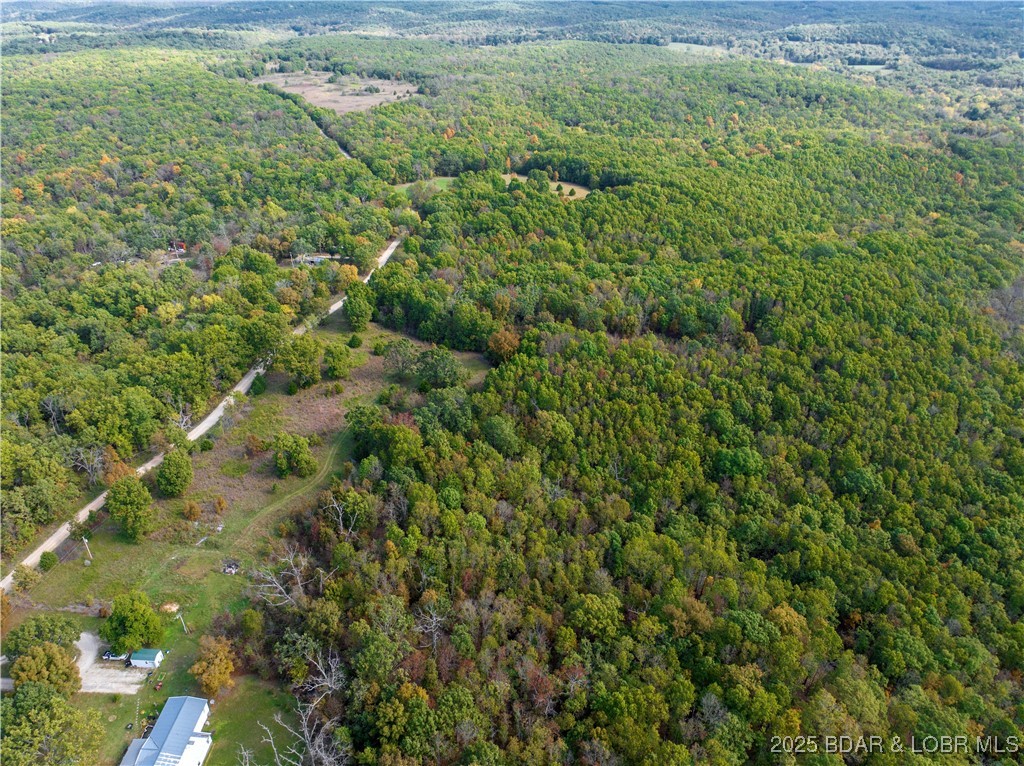 Coffey Hollow Road Macks Creek, MO 65786 - Photo 12 of 21