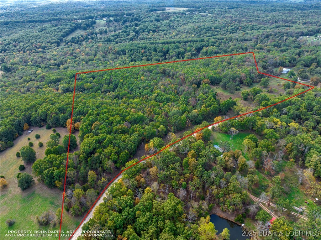 Coffey Hollow Road Macks Creek, MO 65786 - Photo 14 of 21