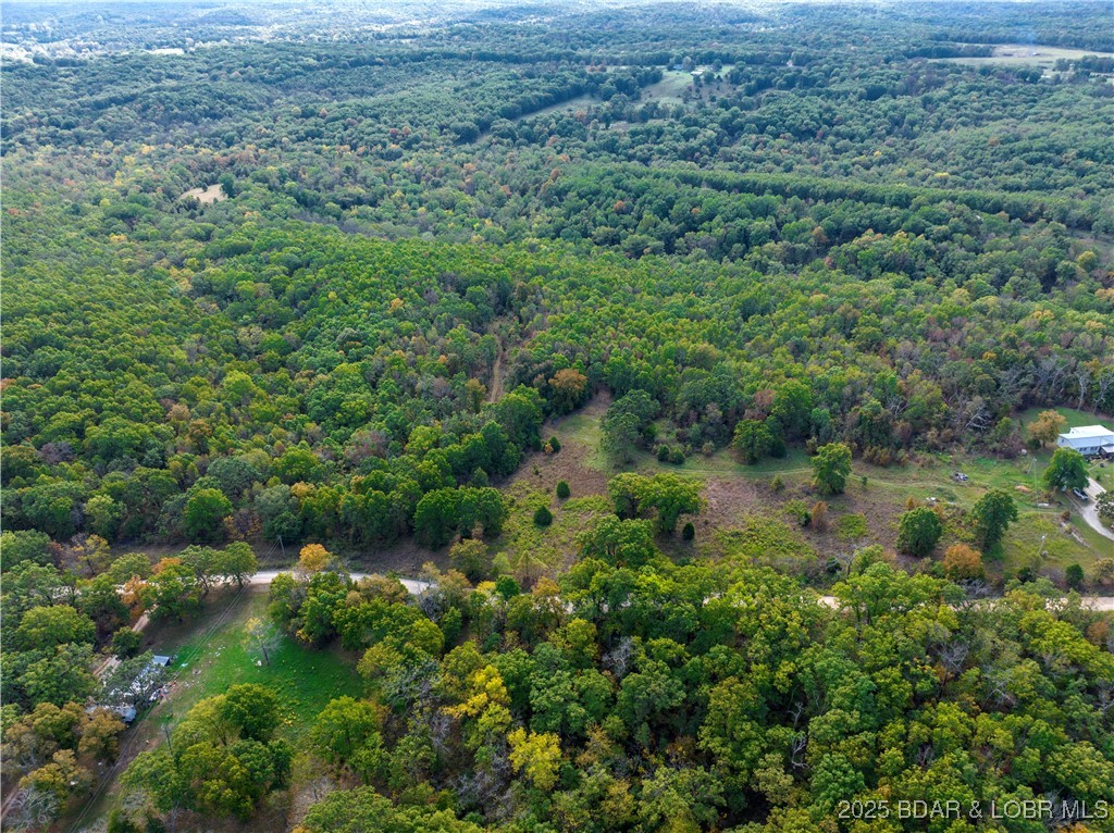 Coffey Hollow Road Macks Creek, MO 65786 - Photo 15 of 21