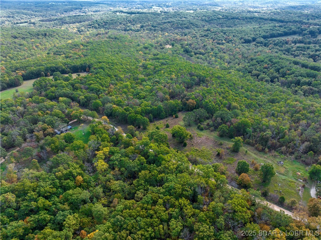 Coffey Hollow Road Macks Creek, MO 65786 - Photo 16 of 21