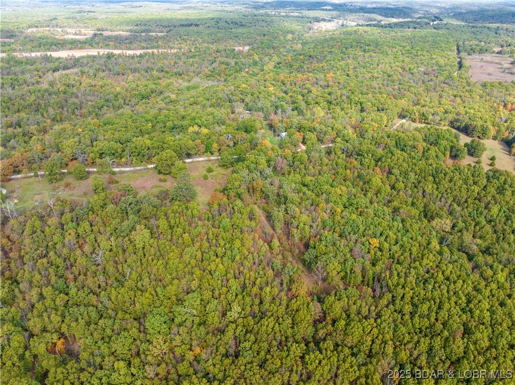 Coffey Hollow Road Macks Creek, MO 65786 - Photo 17 of 21